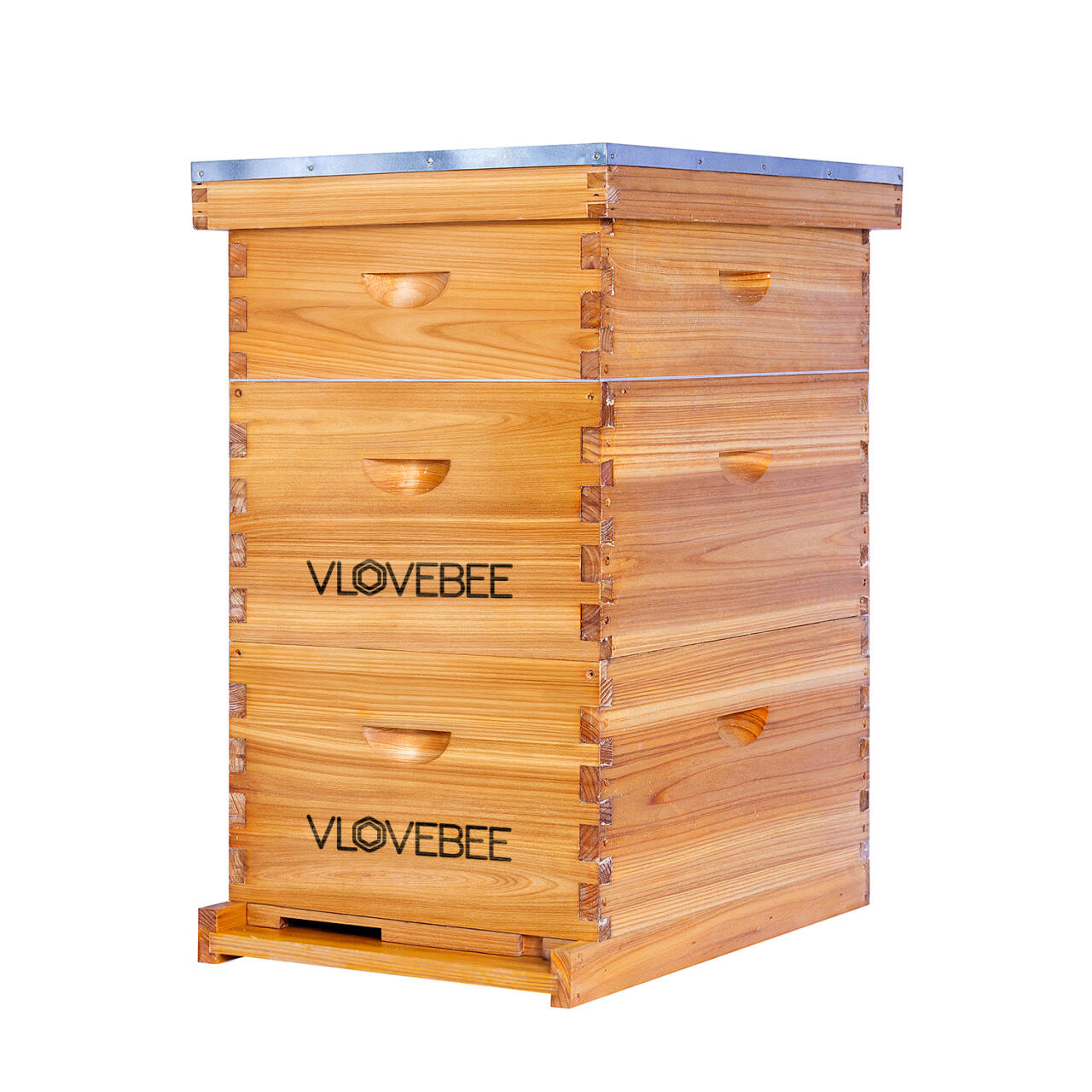 10-Frame Standard Langstroth Beehive and Box