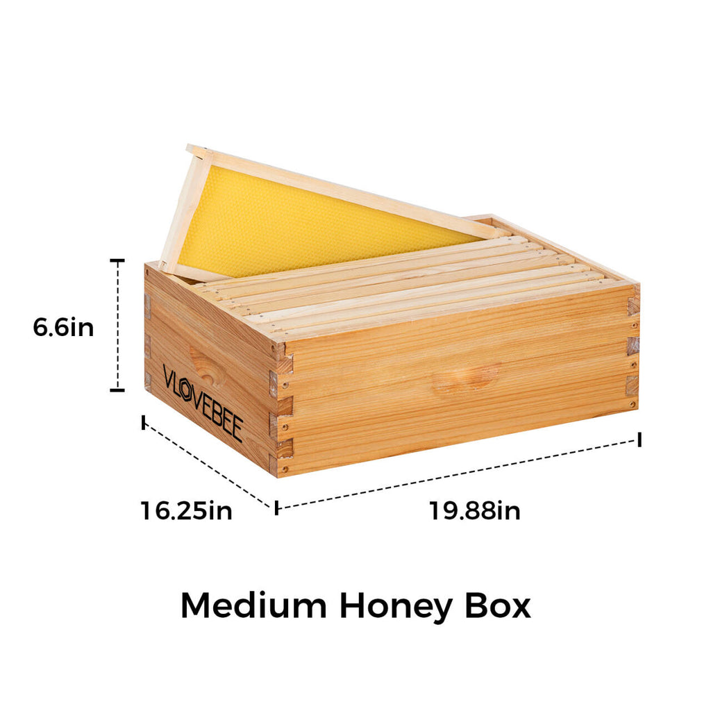 Vlovebee Hives-10 Frame Wax Dipped Honey Super Bee Boxes With Pine Wooden Frames And Beeswax Coated Plastic Foundation Sheet (Unassembled)