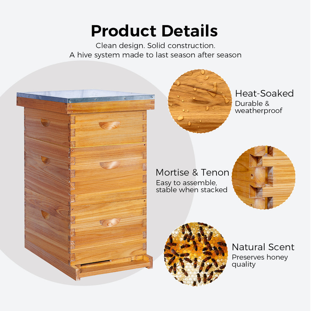 VLoveBee 10-Frame 3-Layer Cedar Wood Langstroth Bee Hive Kit - Complete Wax Dipped Logo-Free Beehive with 2 Deep Boxes, 1 Medium Super, Frames & Foundations