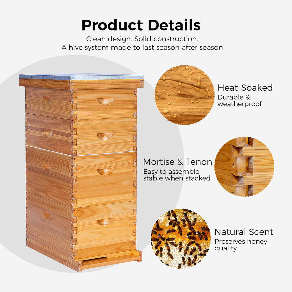 VLoveBee 10-Frame 4-Layer Cedar Wood Bee Hive Kit – Complete Logo-Free Langstroth Beeswax Dipped Unassembled Hive Includes 2 Deep Boxes and 2 Medium Supers with 40 Plastic Foundation & Wooden Frames