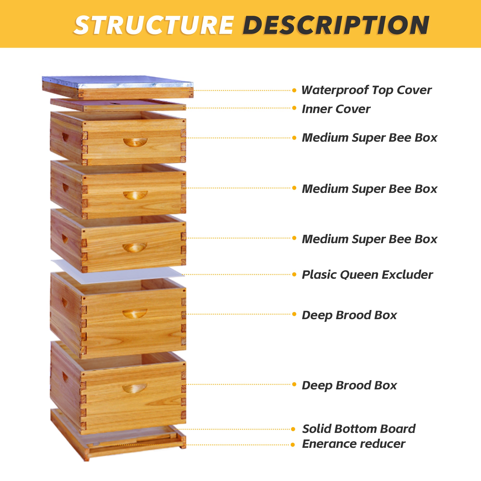 VLoveBee 10-Frame 5-Layer Cedar Wood Langstroth Bee Hive Bodies - Professional Wax-Dipped Logo-Free Set (Includes 2 Deep & 3 Medium Boxes, No Frames)