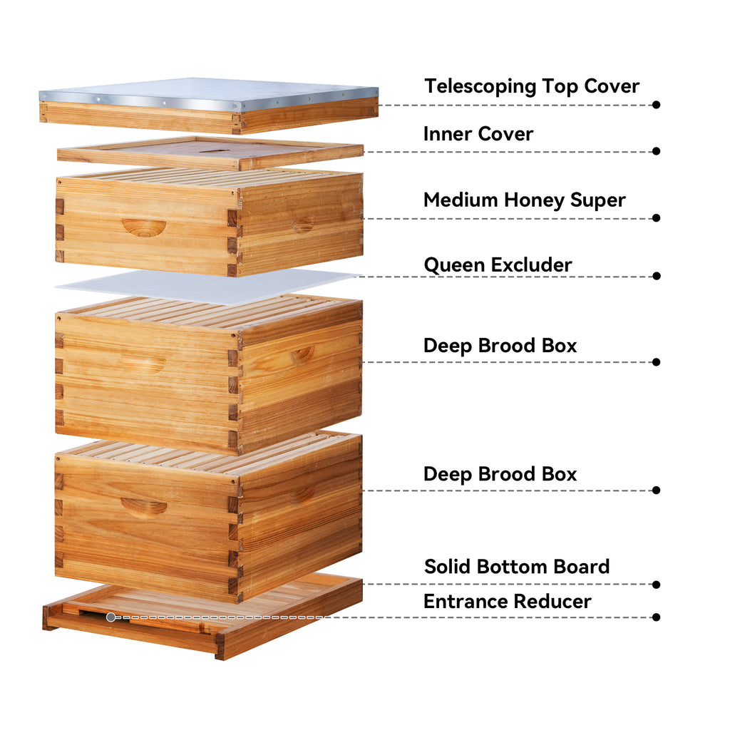 VLoveBee 10-Frame 3-Layer Cedar Wood Langstroth Bee Hive Kit - Complete Wax Dipped Logo-Free Beehive with 2 Deep Boxes, 1 Medium Super, Frames & Foundations