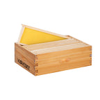 Vlovebee Hives-10 Frame Wax Dipped Honey Super Bee Boxes With Pine Wooden Frames And Beeswax Coated Plastic Foundation Sheet (Unassembled)