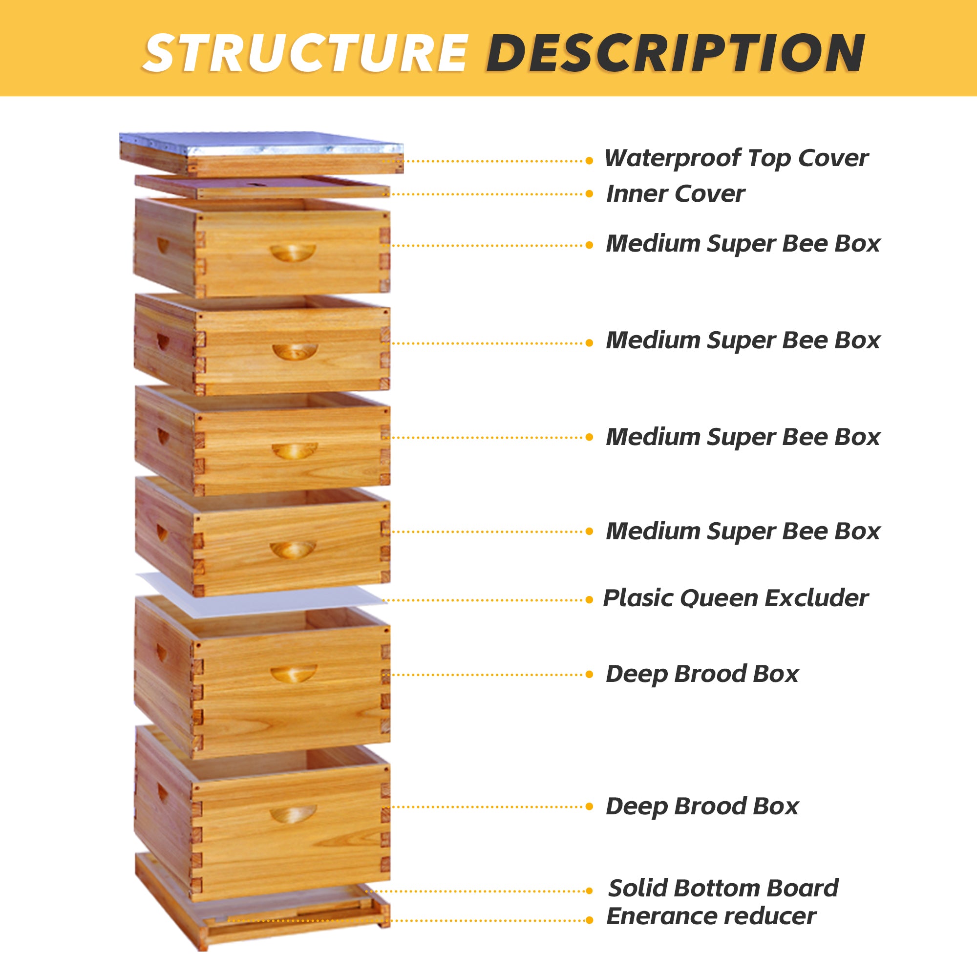 VLoveBee Professional 10-Frame 6-Layer Cedar Wood Langstroth Hive Body Kit - Complete Wax Dipped Logo-Free Beehive (Includes 2 Deeps & 4 Mediums, No Frames)