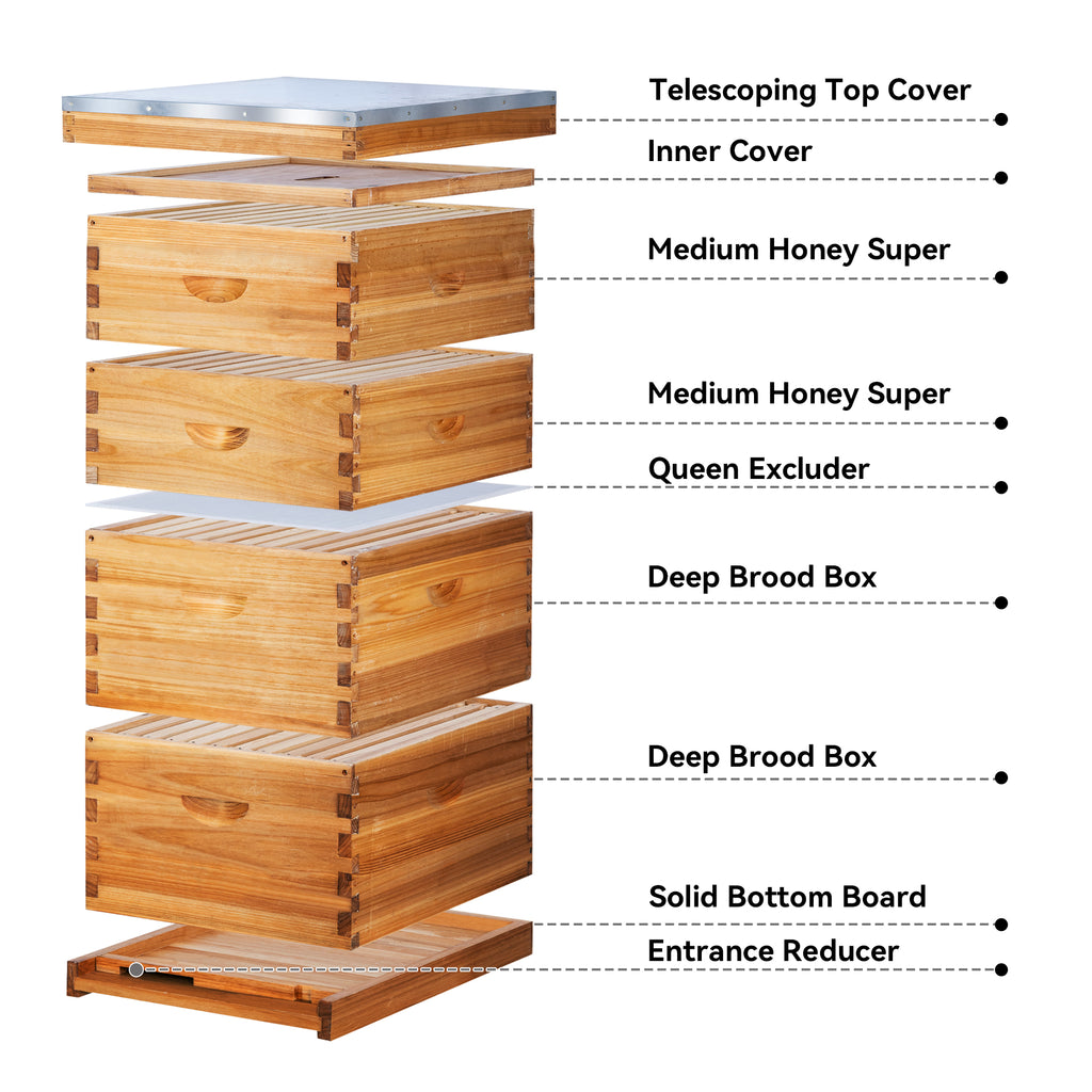 VLoveBee 10-Frame 4-Layer Cedar Wood Bee Hive Kit – Complete Logo-Free Langstroth Beeswax Dipped Unassembled Hive Includes 2 Deep Boxes and 2 Medium Supers with 40 Plastic Foundation & Wooden Frames