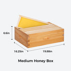 VLoveBee 10-Frame 3-Layer Cedar Wood Langstroth Bee Hive Kit - Complete Wax Dipped Logo-Free Beehive with 2 Deep Boxes, 1 Medium Super, Frames & Foundations